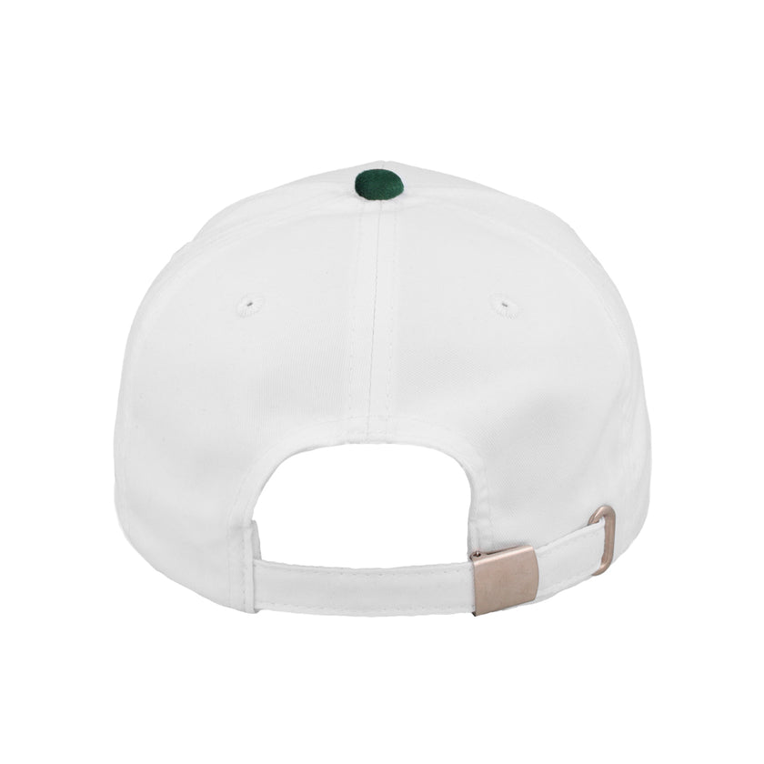 SA Two Tone 6 Panel Cap